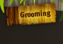 Grooming Services